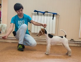 DSC_0357.jpg (201.84 КБ, Просмотров: 5024) DSC_0357.jpg