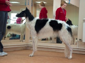 DSC_0366.jpg (207.84 КБ, Просмотров: 5024) DSC_0366.jpg