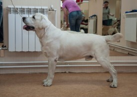 DSC_0401.jpg (168.65 КБ, Просмотров: 5024) DSC_0401.jpg