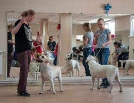 DSC_0408.jpg (219.94 КБ, Просмотров: 5024) DSC_0408.jpg