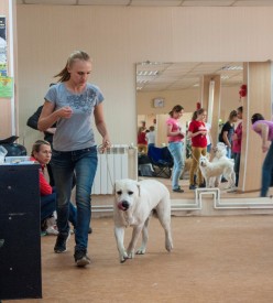 DSC_0413.jpg (180.48 КБ, Просмотров: 5024) DSC_0413.jpg