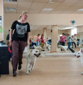 DSC_0416.jpg (180.07 КБ, Просмотров: 5024) DSC_0416.jpg