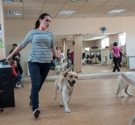 DSC_0426.jpg (179.16 КБ, Просмотров: 5024) DSC_0426.jpg