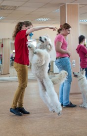 DSC_0433.jpg (181.17 КБ, Просмотров: 5024) DSC_0433.jpg