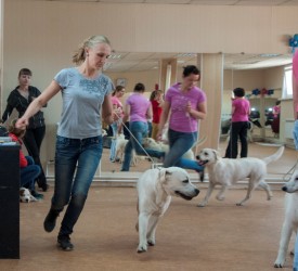 DSC_0441.jpg (170.68 КБ, Просмотров: 5024) DSC_0441.jpg