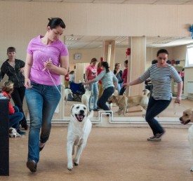 DSC_0442.jpg (247.97 КБ, Просмотров: 5024) DSC_0442.jpg