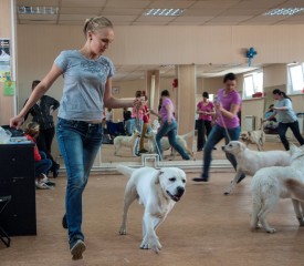 DSC_0445.jpg (193.03 КБ, Просмотров: 5024) DSC_0445.jpg