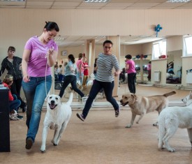 DSC_0447.jpg (210.42 КБ, Просмотров: 5024) DSC_0447.jpg