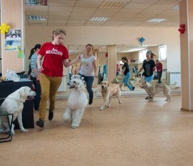 DSC_0462.jpg (253.53 КБ, Просмотров: 5024) DSC_0462.jpg