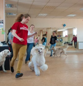 DSC_0463.jpg (222.09 КБ, Просмотров: 5024) DSC_0463.jpg