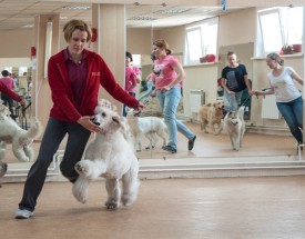 DSC_0484.jpg (208.26 КБ, Просмотров: 5024) DSC_0484.jpg