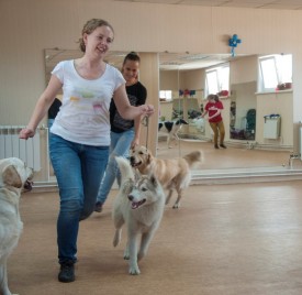 DSC_0486.jpg (149.44 КБ, Просмотров: 5024) DSC_0486.jpg