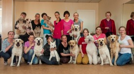 DSC_0499.jpg (197.05 КБ, Просмотров: 5023) DSC_0499.jpg