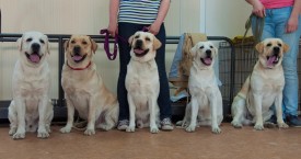 DSC_0525.jpg (168.76 КБ, Просмотров: 5023) DSC_0525.jpg