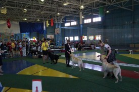 DSC02339JPG.jpeg (290.67 КБ, Просмотров: 3417) DSC02339JPG.jpeg