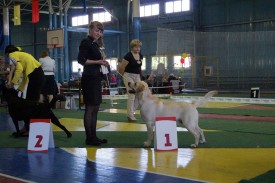 getImage.jpeg6.jpeg (165.51 КБ, Просмотров: 3834) getImage.jpeg6.jpeg