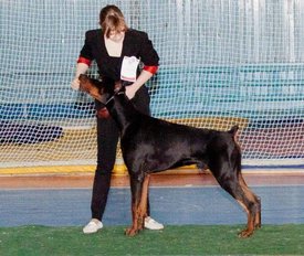 anI1z.jpg (64.98 КБ, Просмотров: 35077) anI1z.jpg