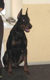 CYH5D.jpg (31.87 КБ, Просмотров: 35400) CYH5D.jpg