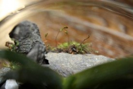 rQmHhI_RQJA.jpg (16.98 КБ, Просмотров: 2913) rQmHhI_RQJA.jpg