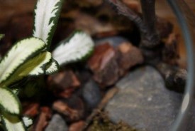 NsJwF0yMhoM.jpg (17.22 КБ, Просмотров: 2913) NsJwF0yMhoM.jpg