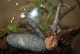 fSpGeouHw1Y.jpg (18.47 КБ, Просмотров: 2732) fSpGeouHw1Y.jpg