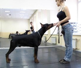 QbhtK.jpg (28.72 КБ, Просмотров: 35445) QbhtK.jpg