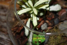 i6CUMPOnNXU.jpg (21.35 КБ, Просмотров: 2732) i6CUMPOnNXU.jpg