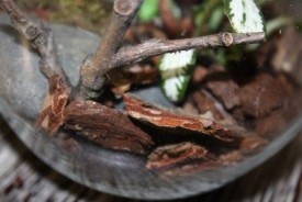 csTwnn7SKXc.jpg (22.58 КБ, Просмотров: 2732) csTwnn7SKXc.jpg