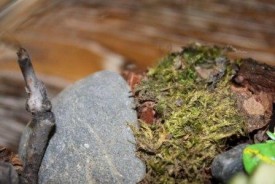 6m56pJ37Gww.jpg (27.44 КБ, Просмотров: 2732) 6m56pJ37Gww.jpg