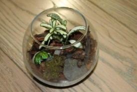 OLK_hqKFhYE.jpg (22.32 КБ, Просмотров: 2913) OLK_hqKFhYE.jpg