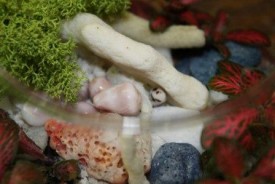 -wVfBkfugvc.jpg (22.72 КБ, Просмотров: 2900) -wVfBkfugvc.jpg