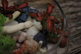 RFRaPpNFDp4.jpg (19.11 КБ, Просмотров: 2732) RFRaPpNFDp4.jpg