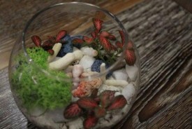 S3CDK2wgtVw.jpg (25.72 КБ, Просмотров: 2735) S3CDK2wgtVw.jpg