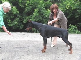 TYUSA.jpg (58.49 КБ, Просмотров: 34639) TYUSA.jpg