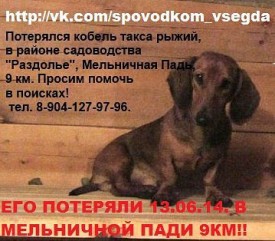 getImage.jpg (34.03 КБ, Просмотров: 1486) getImage.jpg