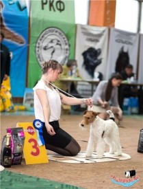 image.jpg (57.67 КБ, Просмотров: 1163) image.jpg