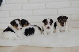 image.jpg (39.66 КБ, Просмотров: 1158) image.jpg