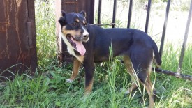 20140708_125043.jpg (371.4 КБ, Просмотров: 1706) 20140708_125043.jpg