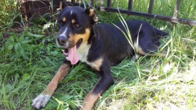 20140708_125124.jpg (406.12 КБ, Просмотров: 1594) 20140708_125124.jpg