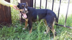 20140708_125050.jpg (373.86 КБ, Просмотров: 1653) 20140708_125050.jpg