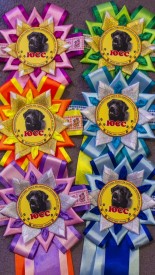 image.jpg (336.78 КБ, Просмотров: 4523) image.jpg