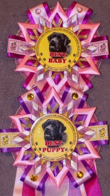 image.jpg (354.07 КБ, Просмотров: 4212) image.jpg