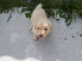 6db3e13837e0cd91i.jpg (153.88 КБ, Просмотров: 1290) 6db3e13837e0cd91i.jpg