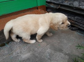 e350fbc277bf4f14i.jpg (130.94 КБ, Просмотров: 1350) e350fbc277bf4f14i.jpg