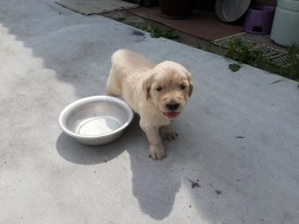 dae547a583d0b832i.jpg (120.43 КБ, Просмотров: 1290) dae547a583d0b832i.jpg