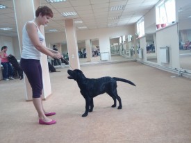 image.jpg (443.14 КБ, Просмотров: 5623) image.jpg