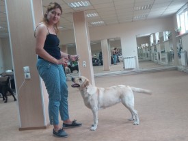 image.jpg (460.04 КБ, Просмотров: 5617) image.jpg