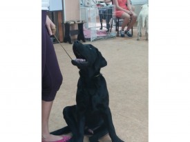 image.jpg (288.08 КБ, Просмотров: 6192) image.jpg