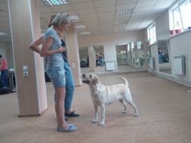 image.jpg (459.52 КБ, Просмотров: 5852) image.jpg