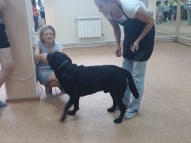 image.jpg (374.87 КБ, Просмотров: 5847) image.jpg